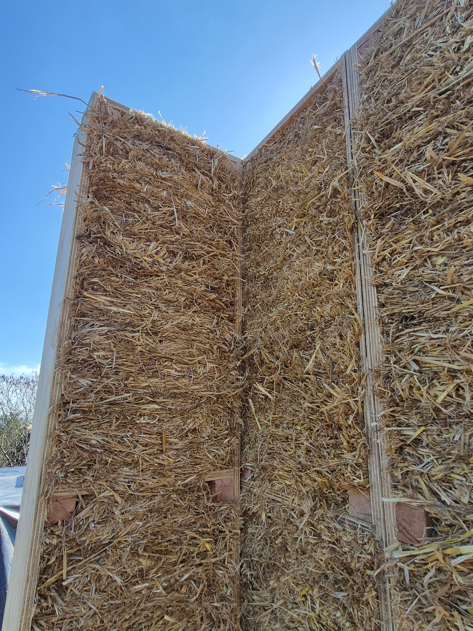 Obra Kamiare construida con el sistema BioSIP® — agosto 2026