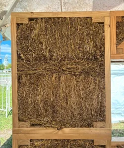 Es ingeniera y quiere usar rastrojo de trigo para hacer casas que respiran